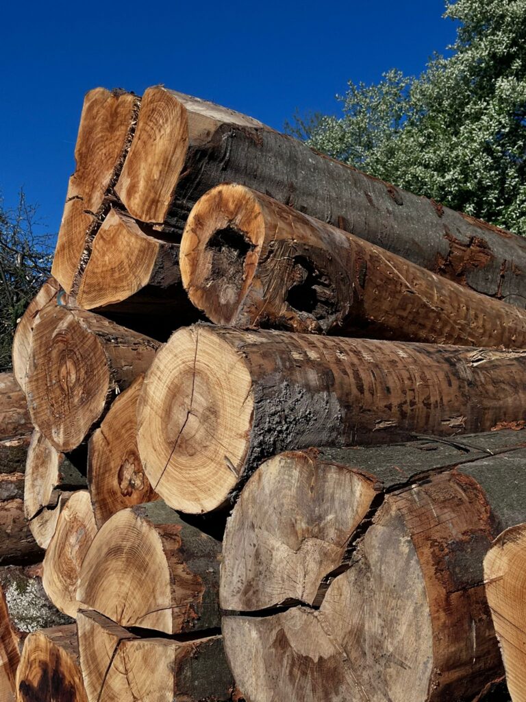 Gelagertes Brennholz zur Trocknung aus der Region