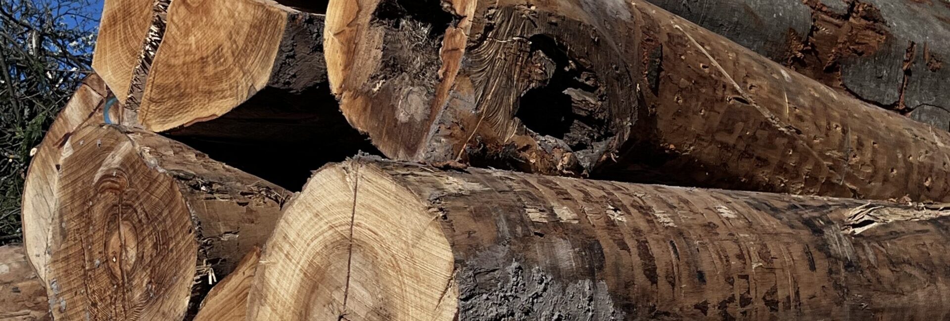 Gelagertes Brennholz zur Trocknung aus der Region